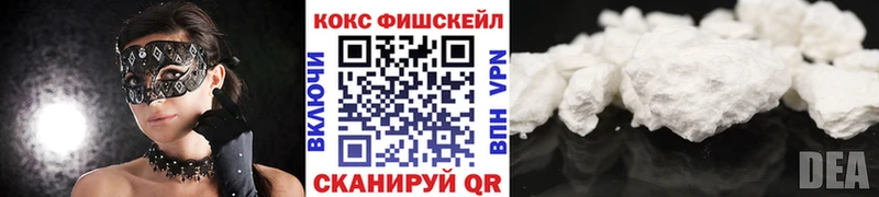 COCAIN Fish Scale  MEGA онион  Кадников  как найти закладки 