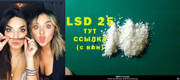 spice Инта