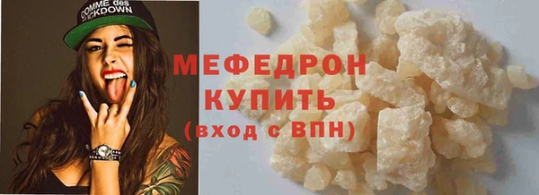 spice Инта