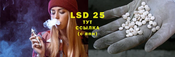 spice Инта