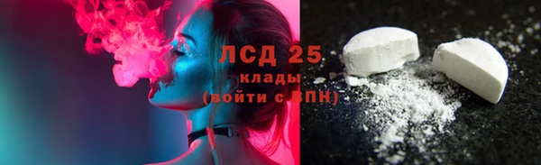 spice Инта