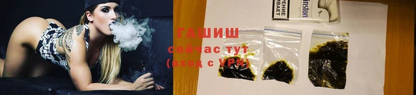 spice Инта