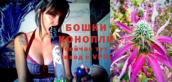 spice Инта