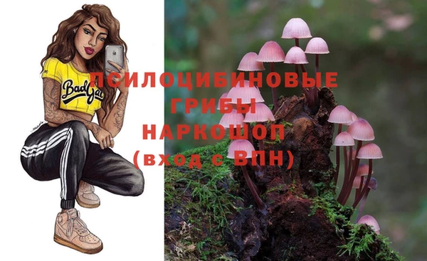 spice Инта
