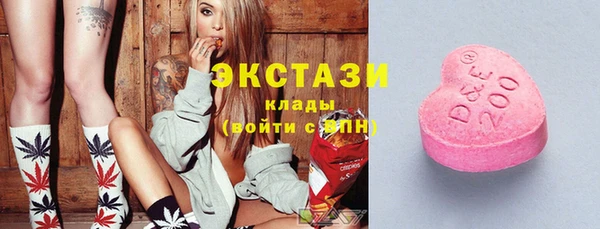spice Инта