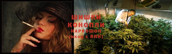 spice Инта